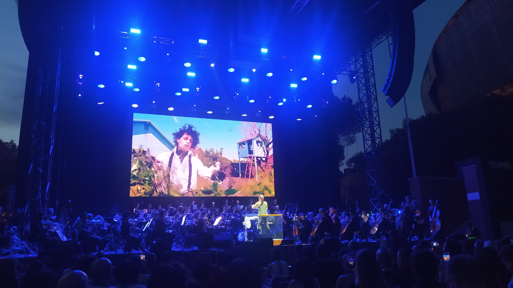 ColonneSonore.Net foto danny elfman concerto15