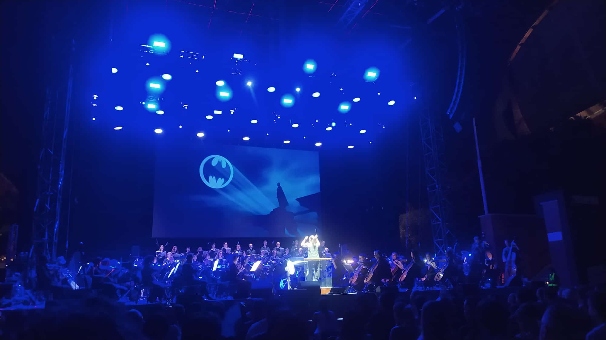 ColonneSonore.Net foto danny elfman concerto16
