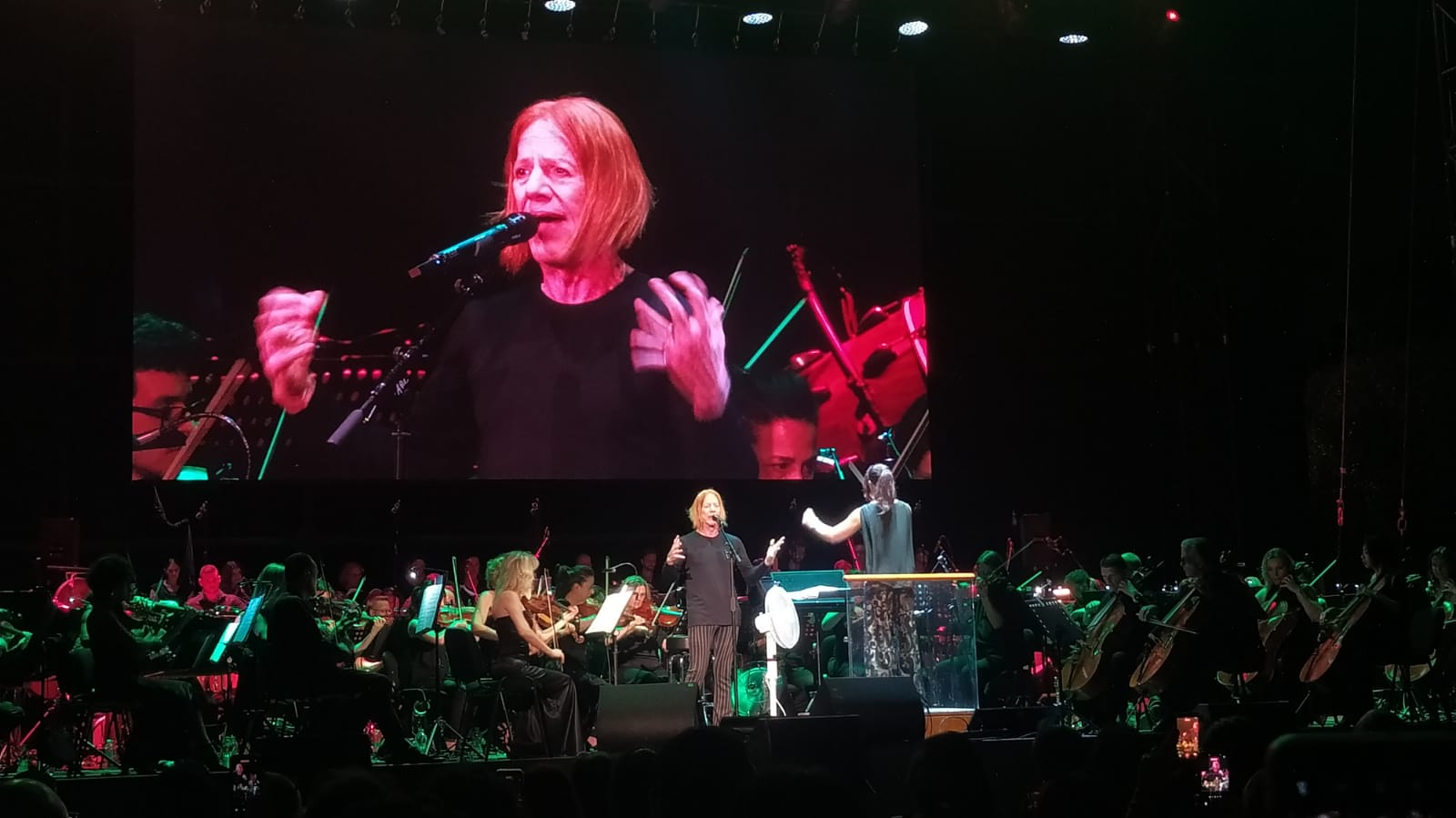 ColonneSonore.Net foto danny elfman concerto5
