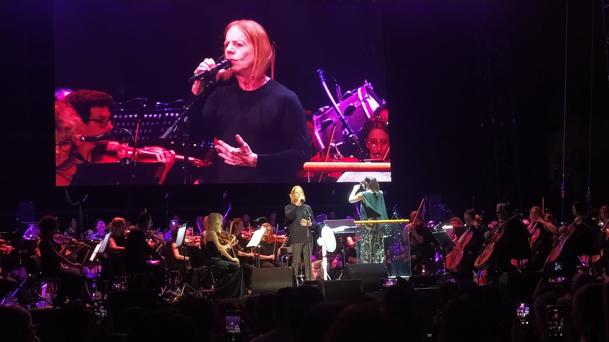 ColonneSonore.Net foto danny elfman concerto6