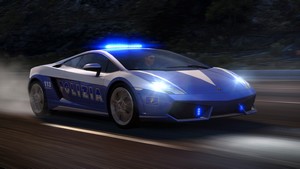 cover_gallardo_cop_02.jpg