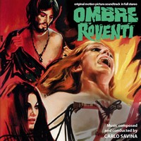 cover_ombre_roventi.jpg
