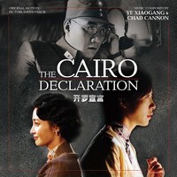 cover the cairo declaration