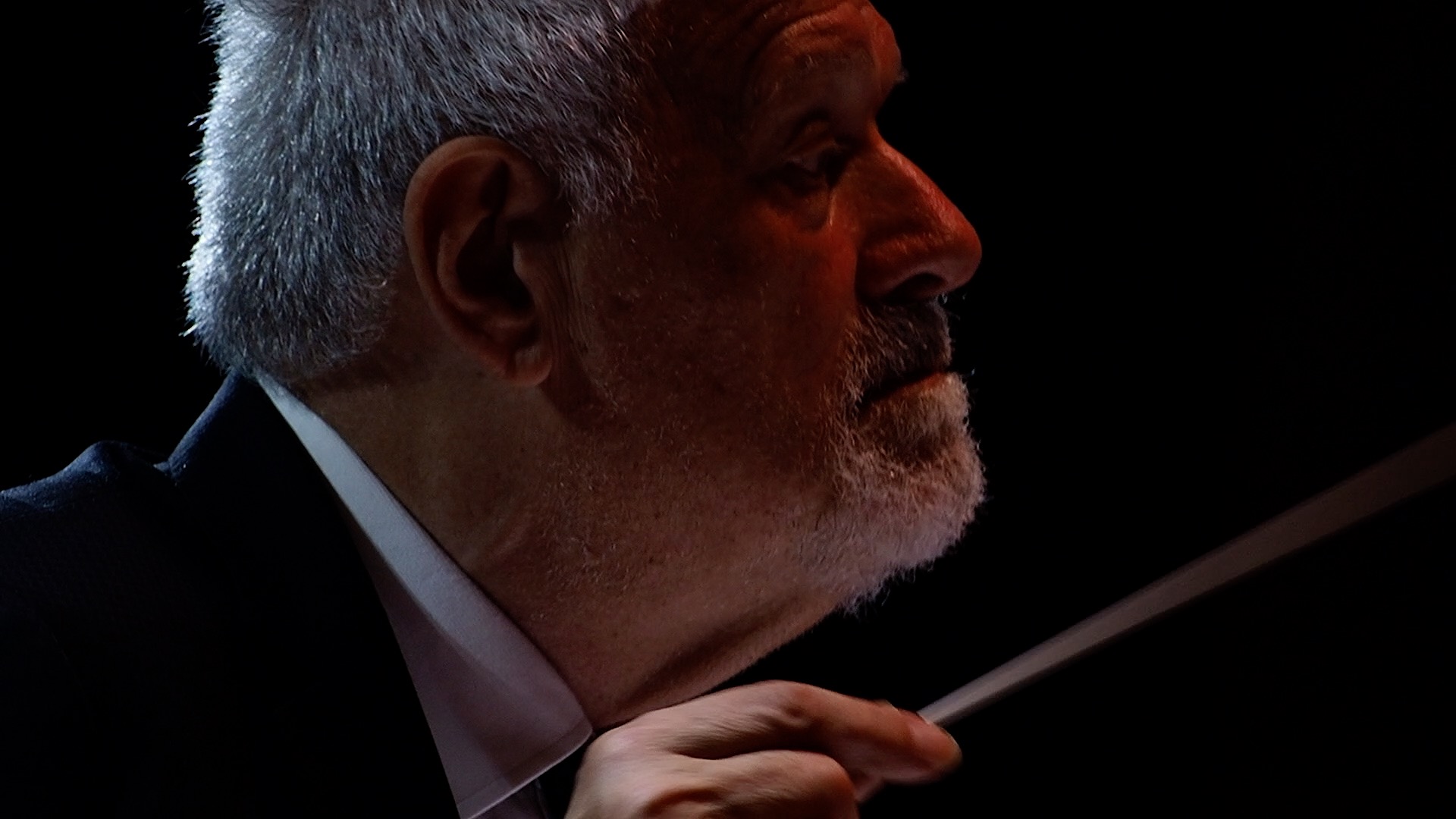 foto fabio frizzi concerto lucca 13