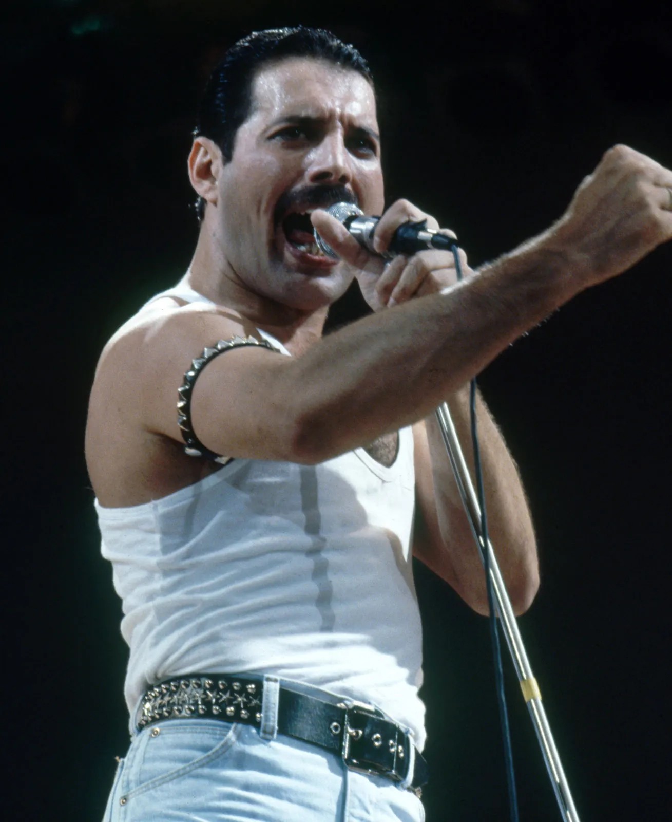 foto freddie mercury esultante