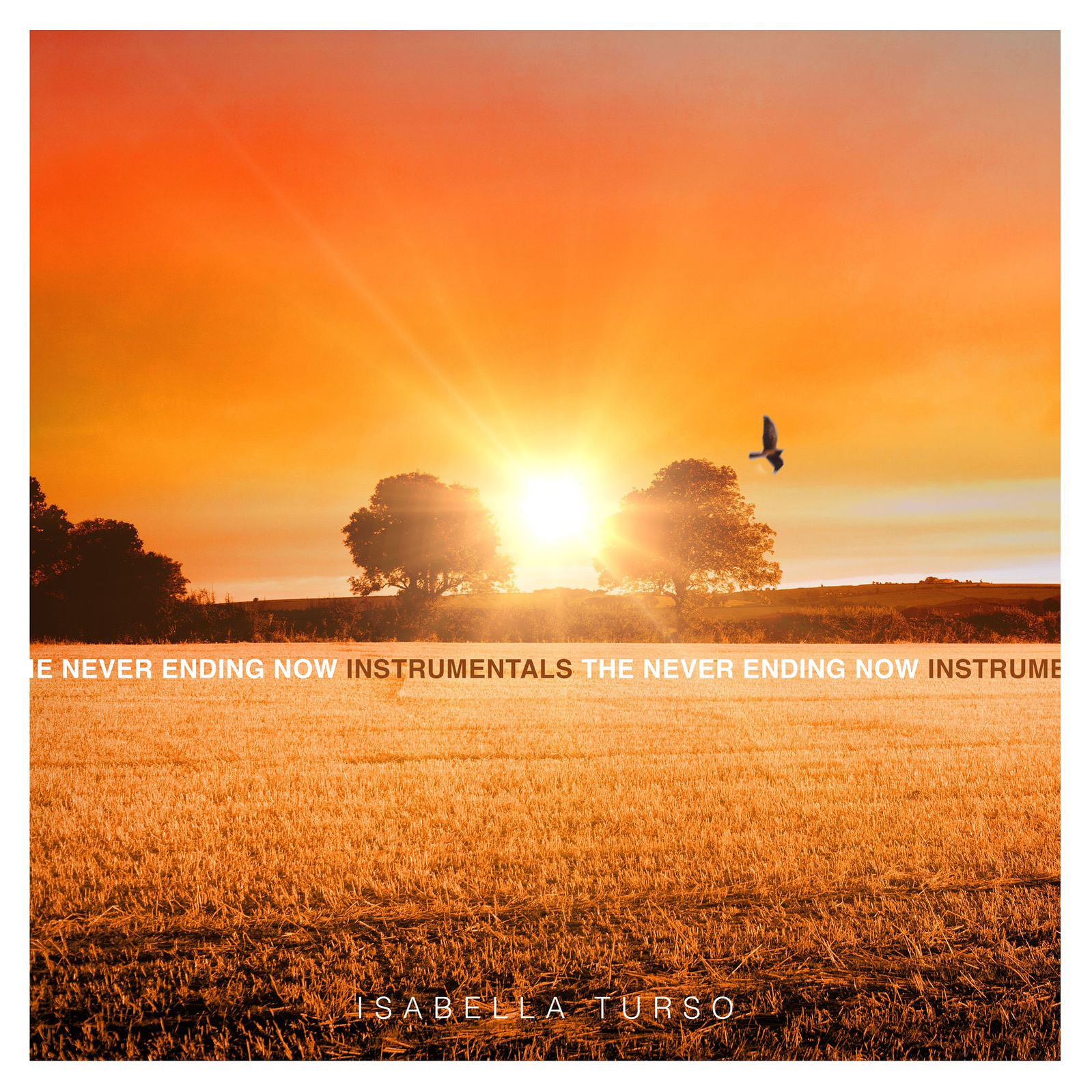 The Never Ending Now Instrumentals Cover Artwork