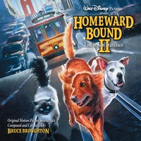 cover homeward boundII