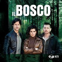 cover_il_bosco.jpg