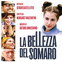 cover_la_bellezza_del_somaro.jpg