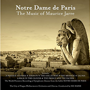 cover notre dame de paris jarre