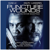 cover_puncture_wounds.png