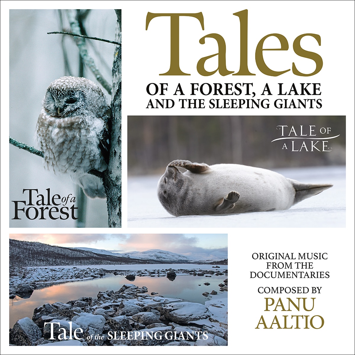 cover tales of forest lake