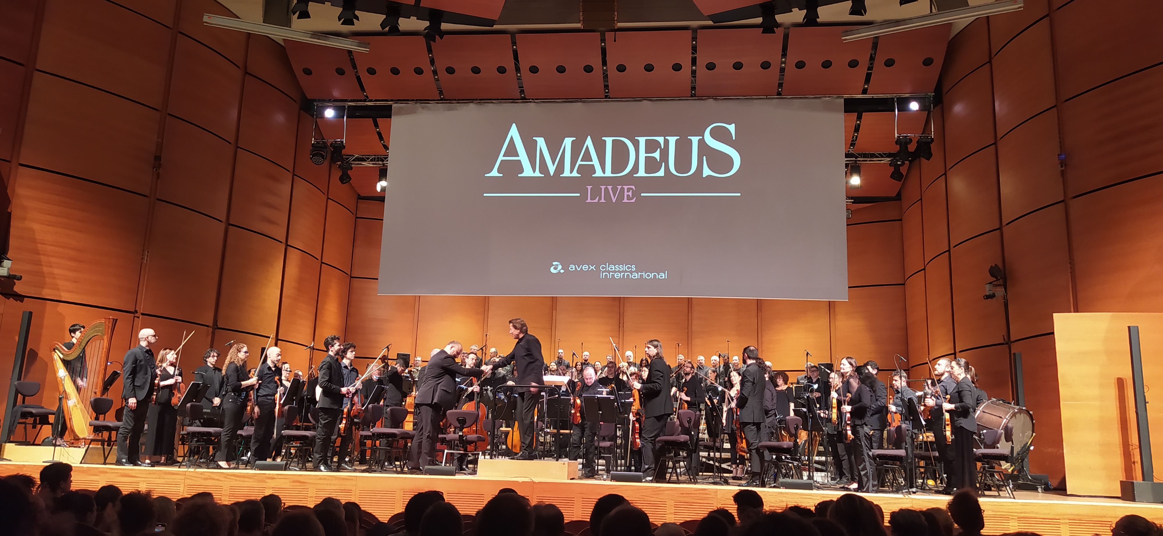 foto amadeus cineconcerto 2024 1