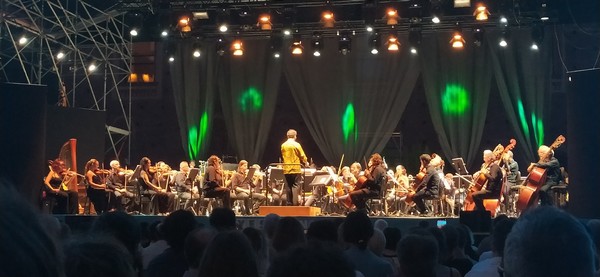 foto concerto williams pedroni sforzesco 6