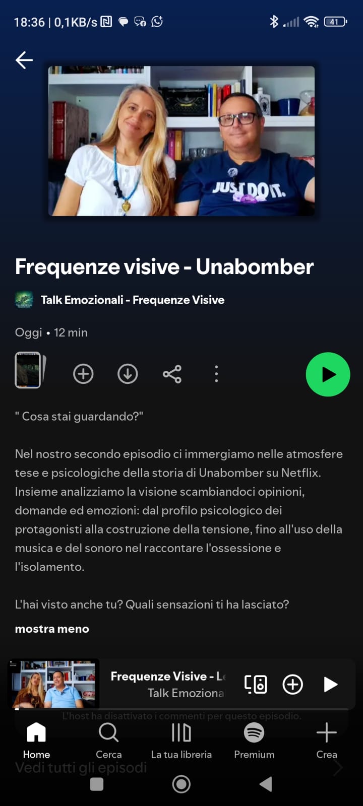 ColonneSonore.Net locandina frequenze visive unabomber
