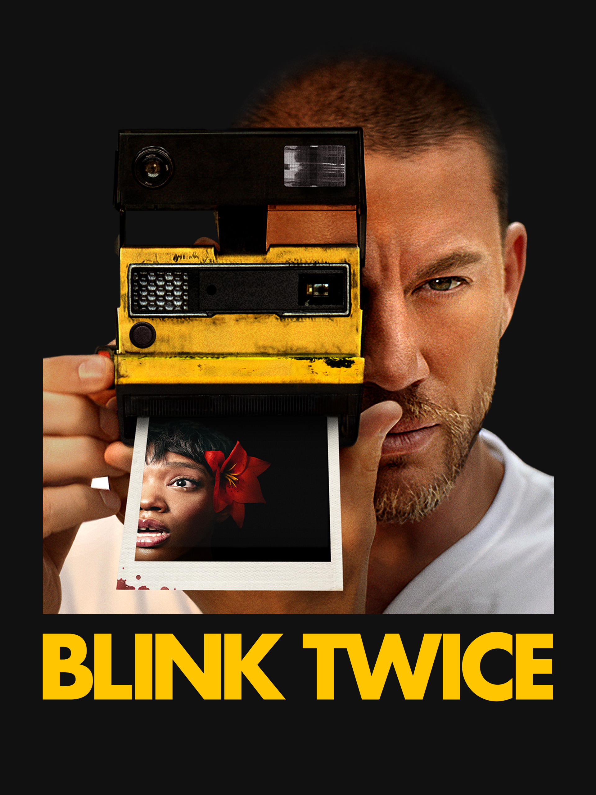 locandina blink twice